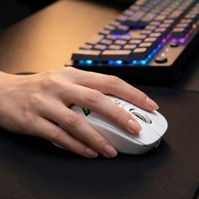Souris bluetooth 